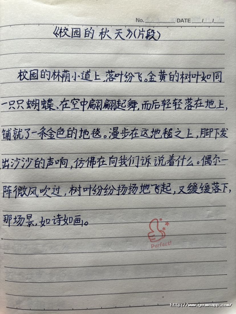 陈2.png